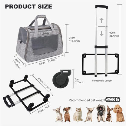 Caisse de transport chien- 3 in 1 Portable