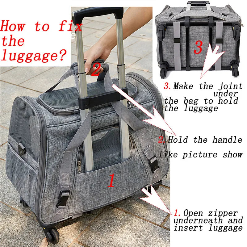 Caisse de transport chien- 3 in 1 Portable