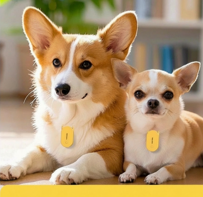 Anti puce chien | Ultrason 120m² chihuahua