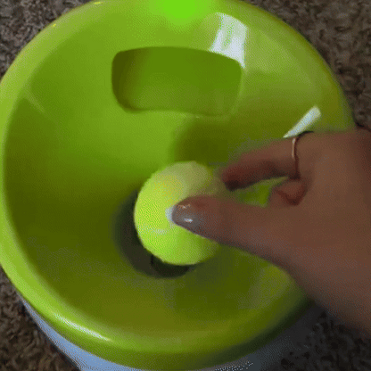 Lanceur de Balle pour chien- Automatique