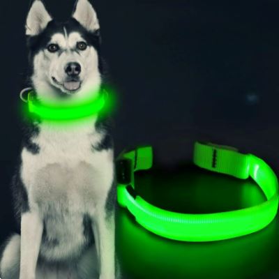 Collier lumineux Chien - LEDCollarDog™ - Vert