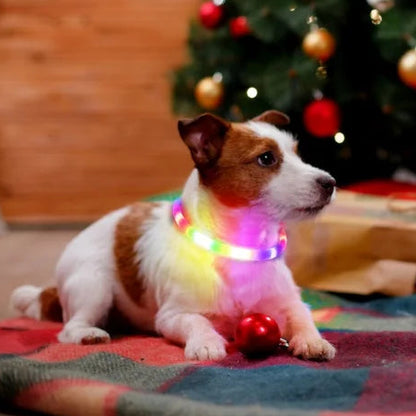 Chien collier lumineux | LED Rechargeable 360° festif