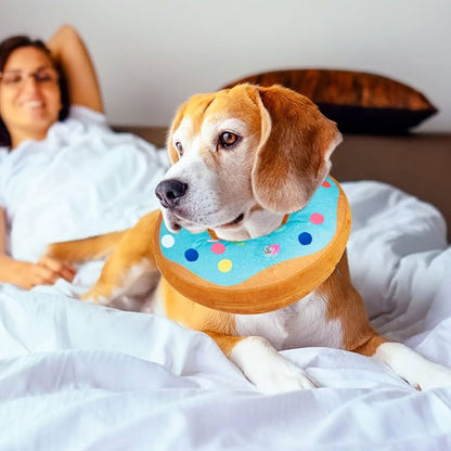 La Protection Collerette chien- Beignets protecteur