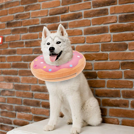 Collerette chien-Beignets protecteur rose

