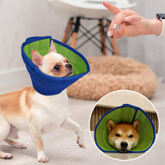 Collerette chien- Conique réglable