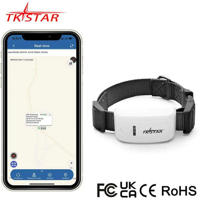 Collier anti fugue chien | GPS Temps Réel TKstar