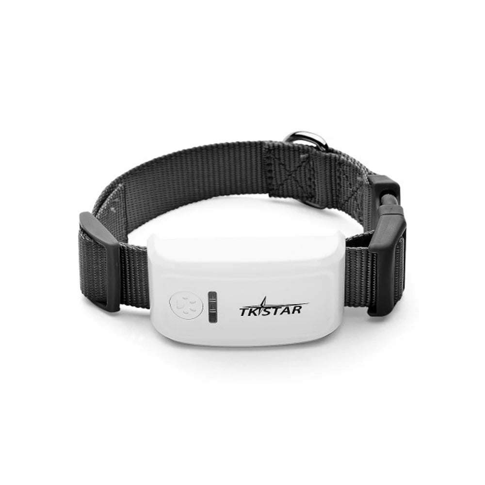 Collier anti fugue chien | GPS Temps Réel blanc