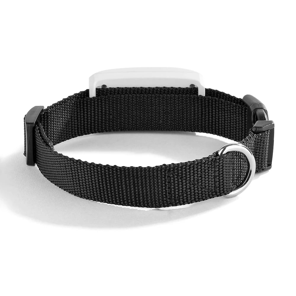 Collier anti fugue chien | GPS Temps Réel verso