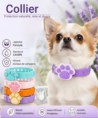 Collier anti puce | Naturel aux huiles essentielles