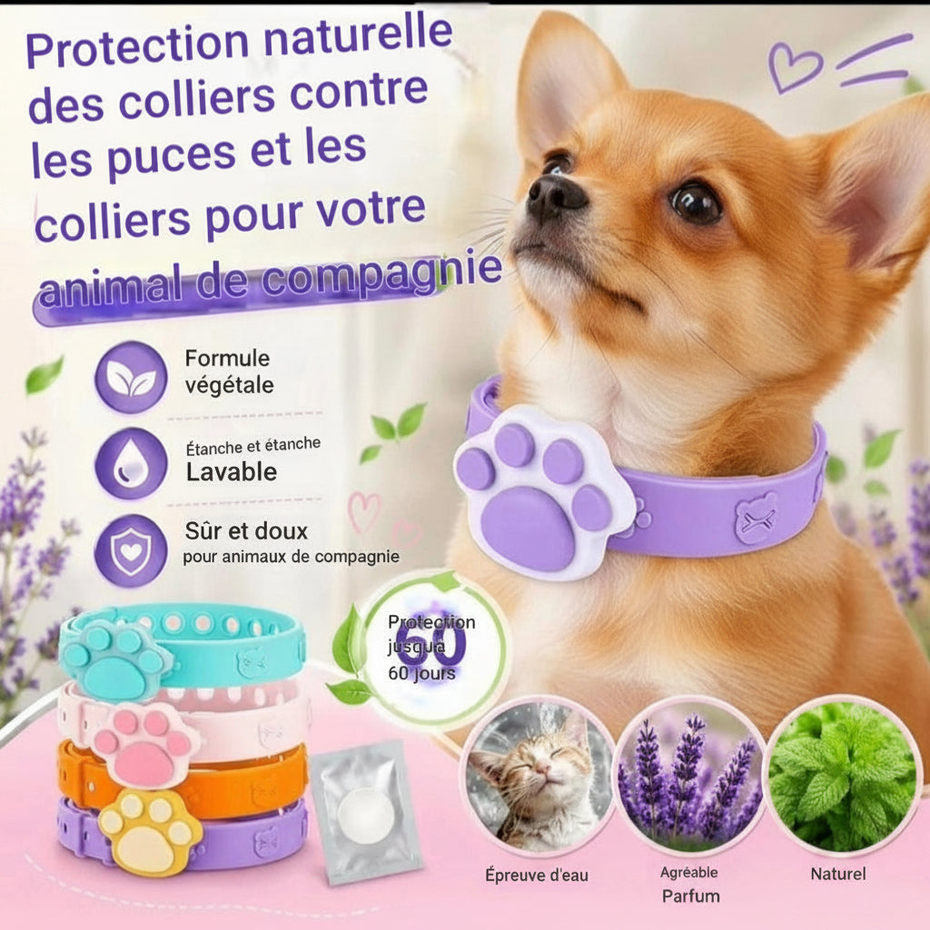Collier anti puce | Naturel aux huiles essentielles 60 jours