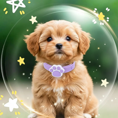 Collier anti puce | Naturel aux huiles essentielles chiot