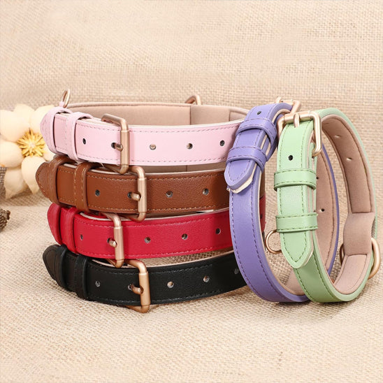 Collier chien cuir - Cuir robuste
