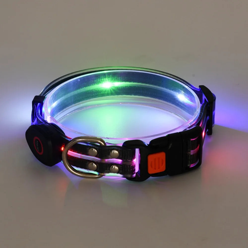 Collier lumineux pour chien | NightGuard 2