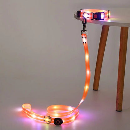 Collier lumineux pour chien | NightGuard 3