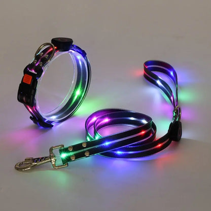 Collier lumineux pour chien | NightGuard 4