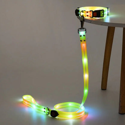 Collier lumineux pour chien | NightGuard 5