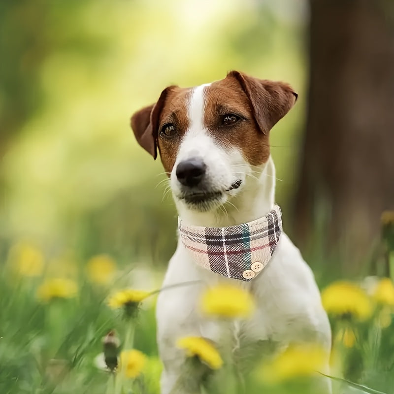 Collier pour chien- Classic Plaid Pet 6