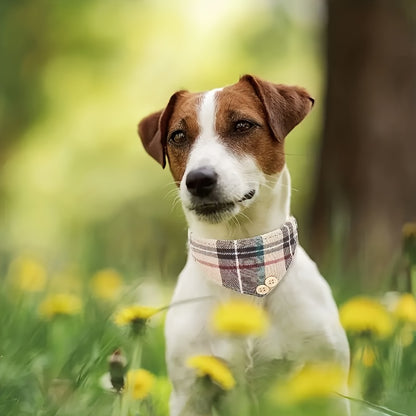 Collier pour chien- Classic Plaid Pet 6