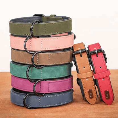 collier chien-respirant