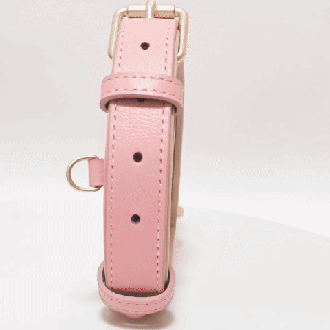 Collier chien cuir - Cuir robuste