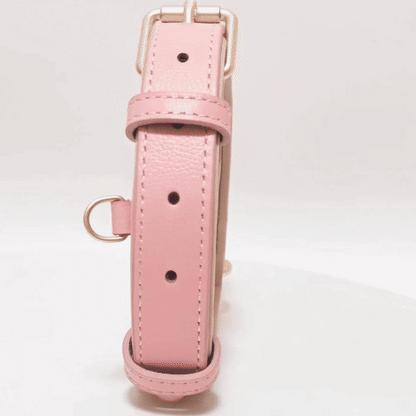 Collier chien cuir - Cuir robuste