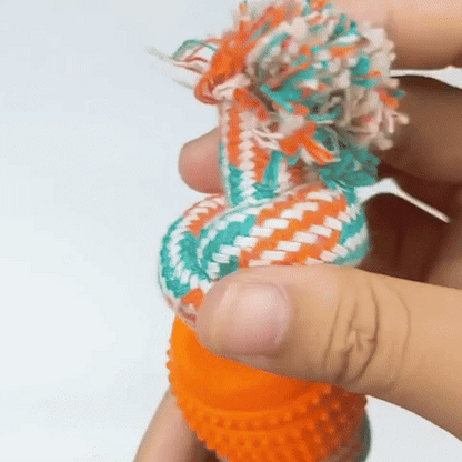 Jouet pour chien- Corde anti-destruction