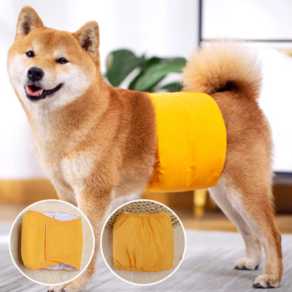 Couche chien-bandeaux urine