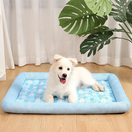 Tapis Coussin chien- Frigo confo.