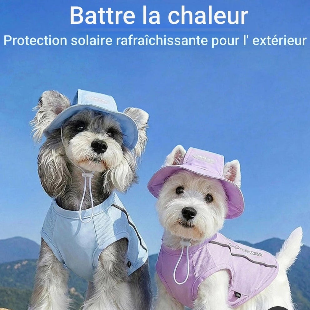 Gilet rafraichissant chien | Duo pull casquette chaleur
