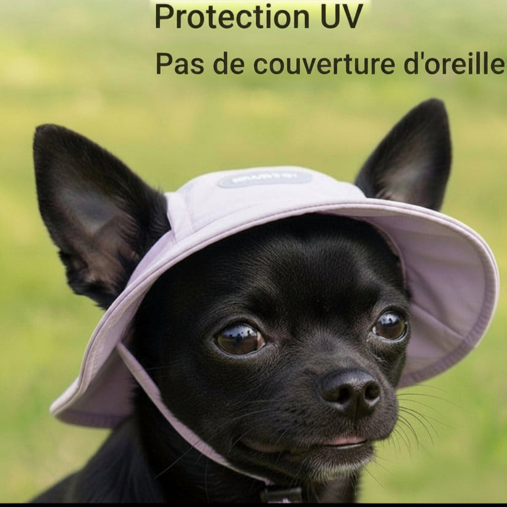 Gilet rafraichissant chien | Duo pull casquette chihuahua