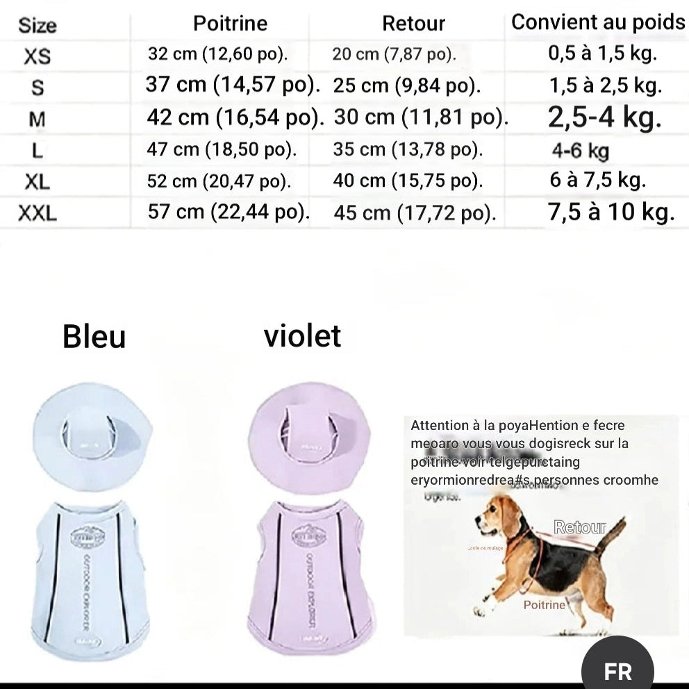 Gilet rafraichissant chien | Duo pull casquette grandeur