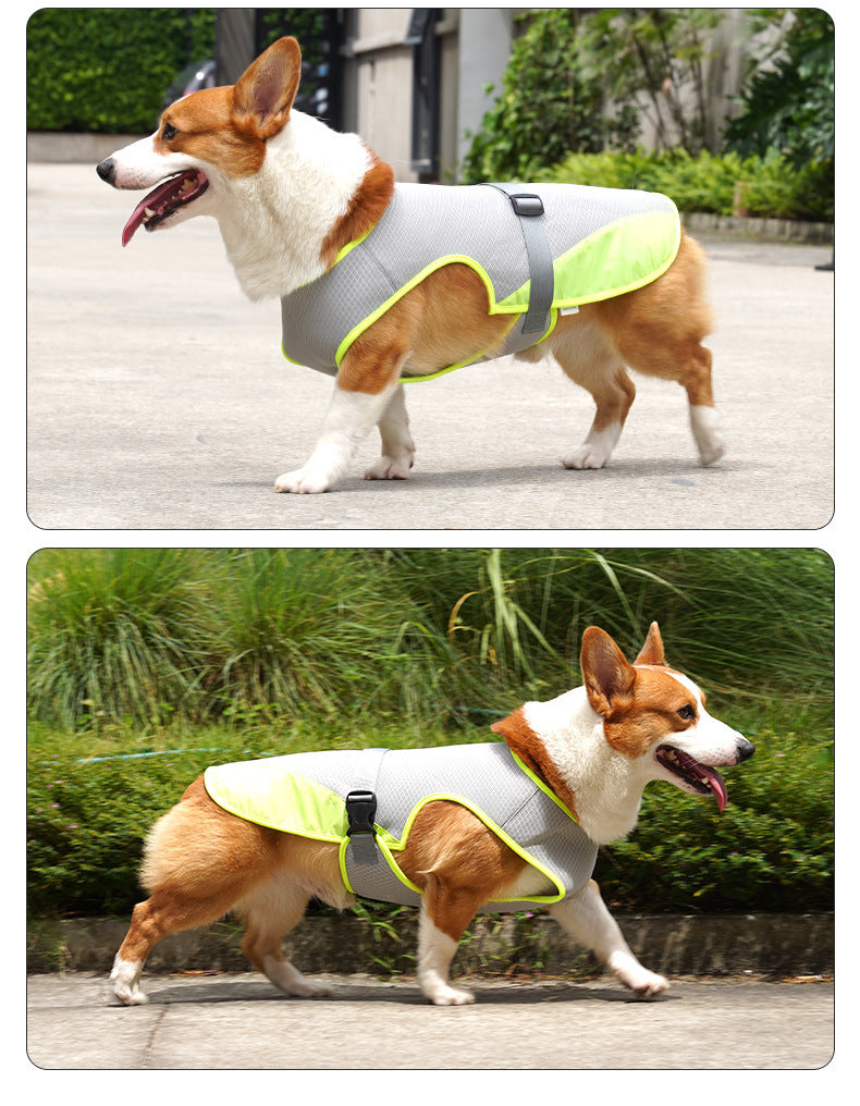 Gilet rafraichissant chien | Fraîcheur Durable balade 