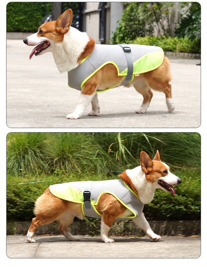 Gilet rafraichissant chien | Fraîcheur Durable balade 