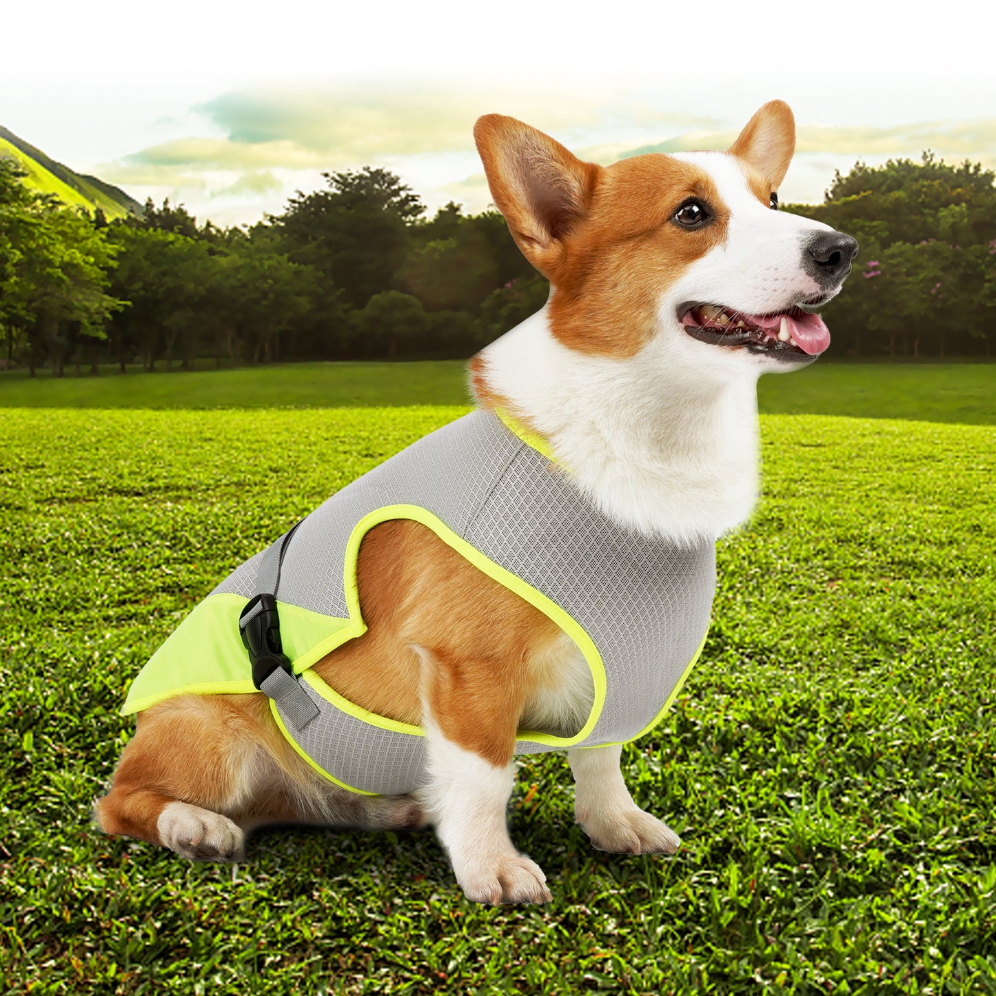 Gilet rafraichissant chien | Fraîcheur Durable confort