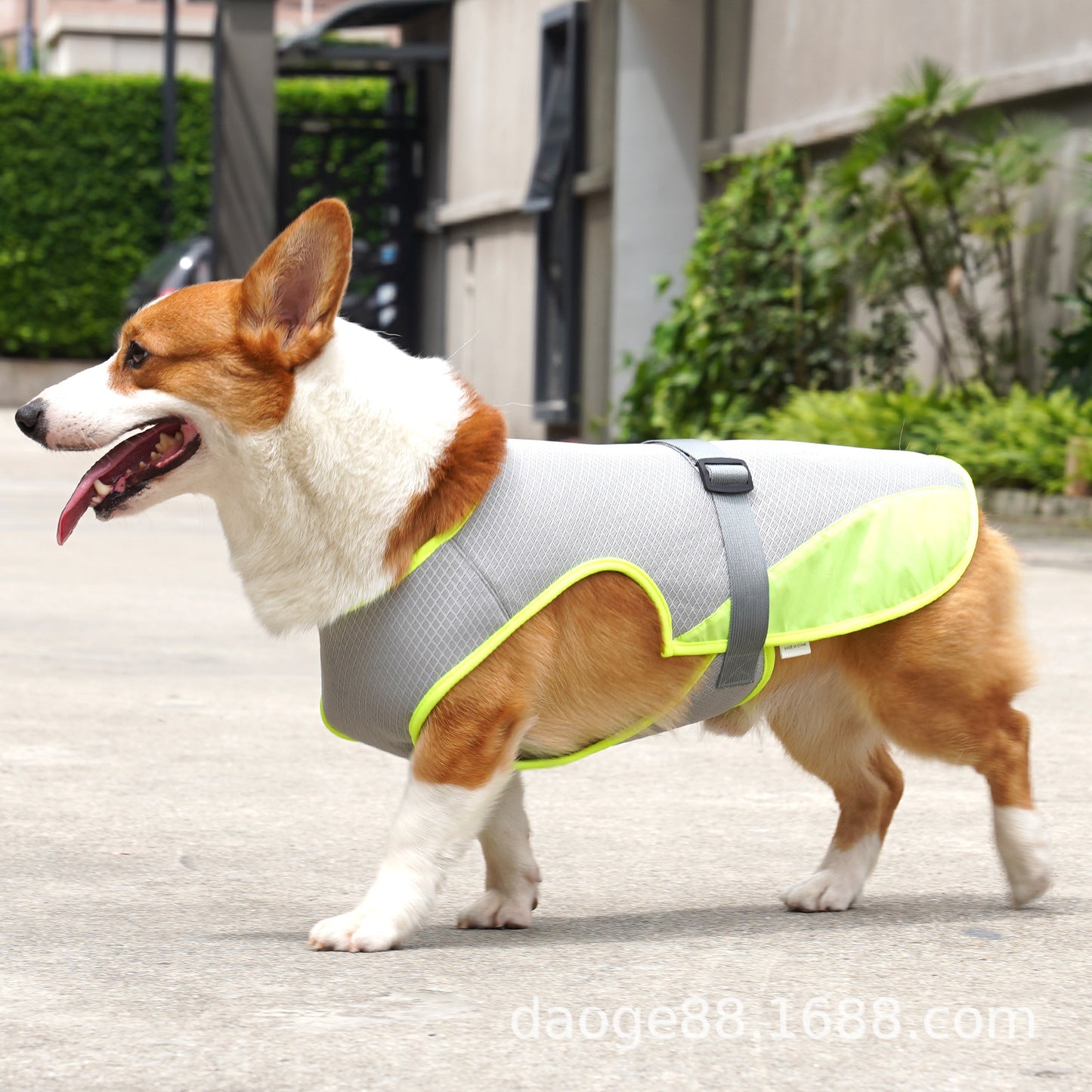 Gilet rafraichissant chien | Fraîcheur Durable gri