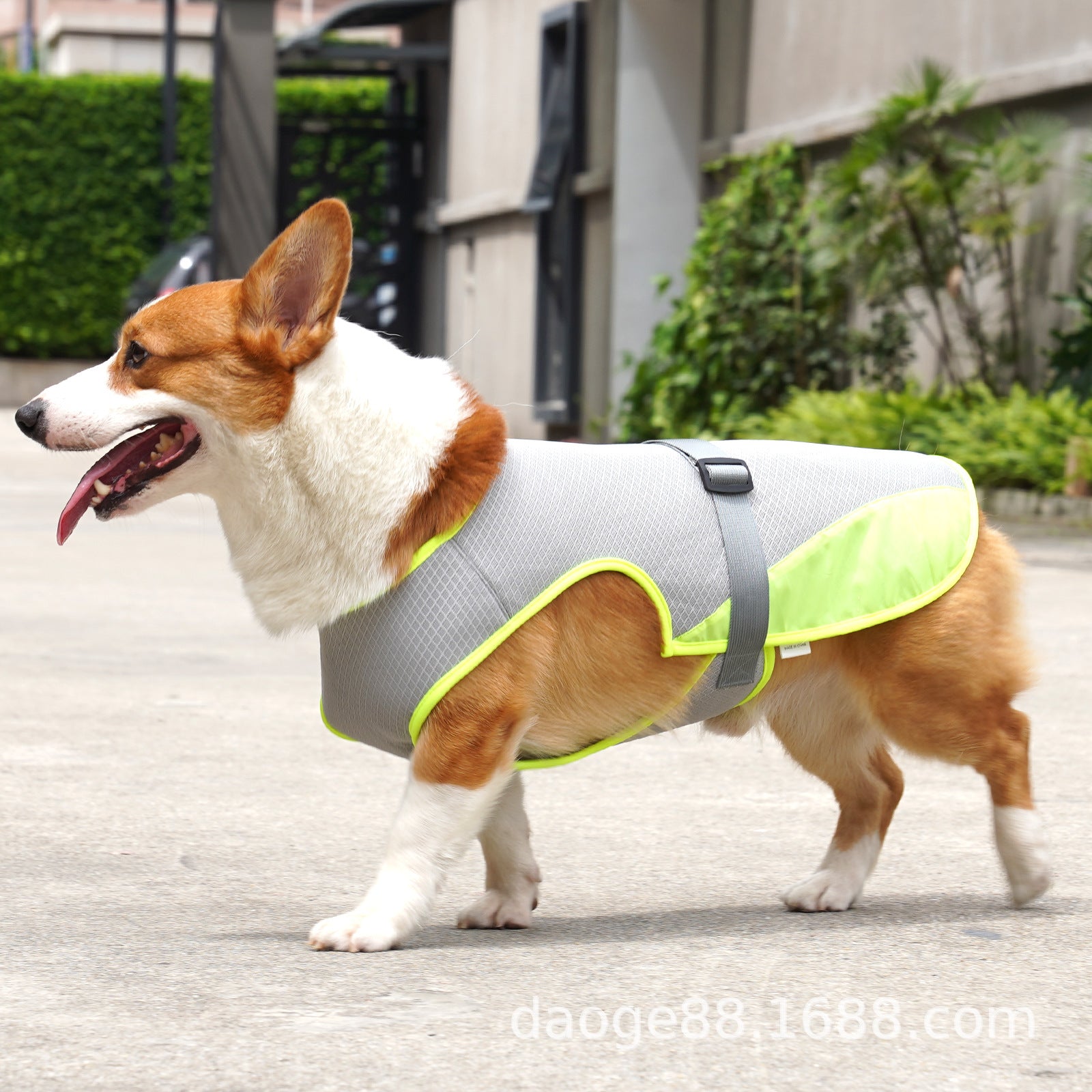 Gilet rafraichissant chien | Fraîcheur Durable gri