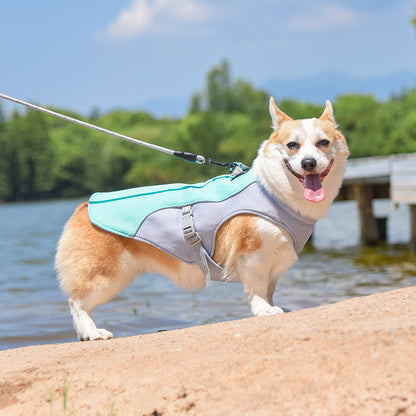 Gilet rafraichissant pour chien | Protection Anti-Chaleur confort