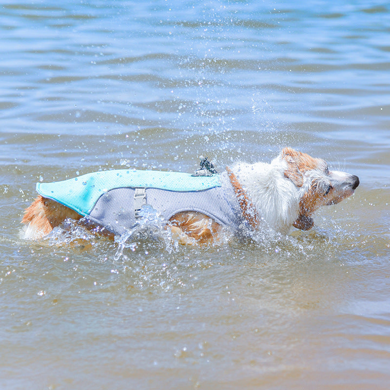 Gilet rafraichissant pour chien | Protection Anti-Chaleur eaux