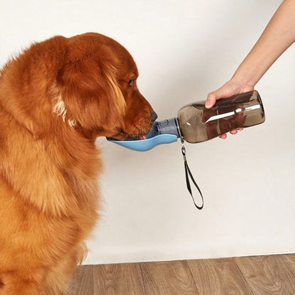 Gourde pour chien | Portable anti-fuite