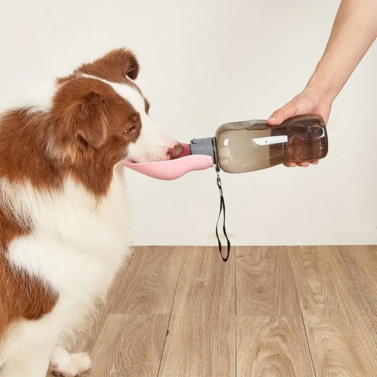 Gourde pour chien | Portable anti-fuite pratque