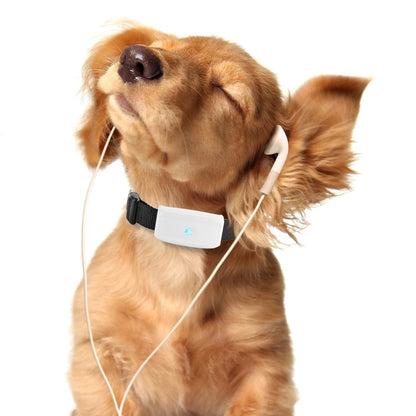 Collier gps pour chien- TKSTAR Mini GPS 2G