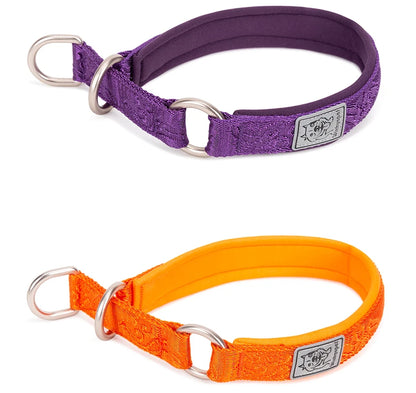 Collier de dressage pour chien- TRUELOVE P-chain