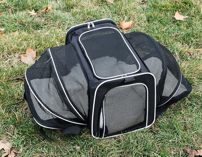Sac pour transporter chien- Fashionable Expandable Satchel