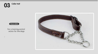 Collier pour chien cuir | Martingale Élégance