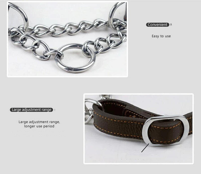 Collier pour chien cuir | Martingale Élégance