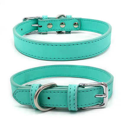 Collier chien cuir - Couleur sublime
