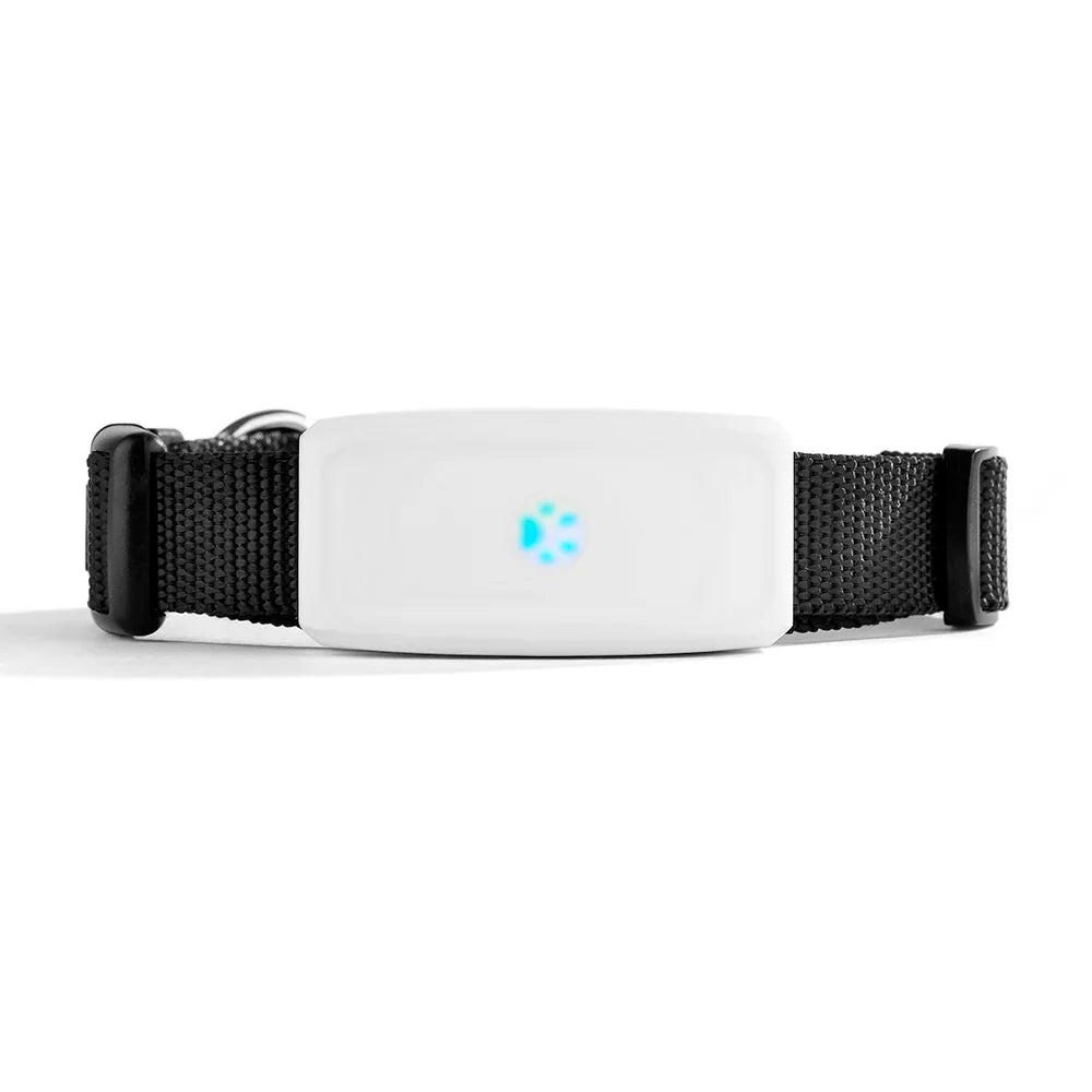 Collier gps pour chien- TKSTAR Mini GPS 2G