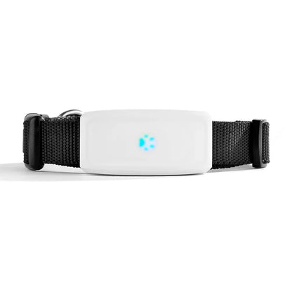 Collier gps pour chien- TKSTAR Mini GPS 2G