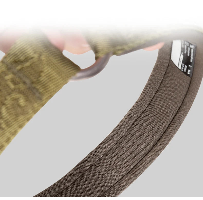 Collier de dressage pour chien- TRUELOVE P-chain