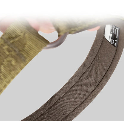 Collier de dressage pour chien- TRUELOVE P-chain